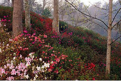 B站游戏大赏：《双人成行》再次斩获年度游戏